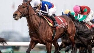 【大阪杯予想】人間とAIで評価は真っ二つ!? 狙って面白い「距離適性に不安を抱える実績上位馬」とは？