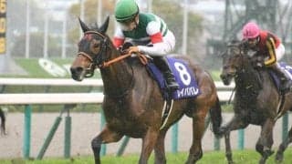 【大阪杯】いざ連覇へレイパパレ 牝系血統に眠る日本競馬の歴史 