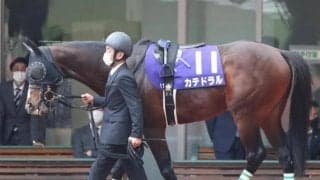 【ダービー卿CT予想オッズ】カテドラルが予想1番人気