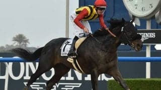 ドバイ遠征の日本馬21頭が帰国、クラウンプライドはアメリカ遠征へ