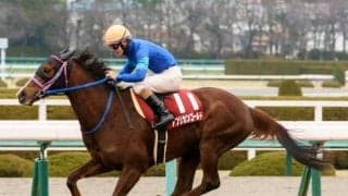 【大阪杯展望】内回り適性が求められるレース、あの馬の大駆けを期待したい