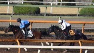 ナムラクレア、桜花賞1週前追い切り速報/栗東トレセンニュース