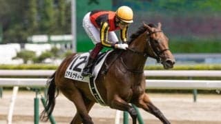 【次走】ステルナティーアはNHKマイルカップへ 全兄にマイルCS覇者ステルヴィオ