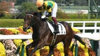 【次走】4億7000万円の良血馬リアドは京都新聞杯へ