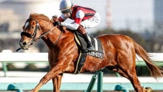 【次走】前走で戦線復帰のウインカーネリアンはマイラーズカップへ