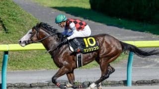 【次走】マーチSで2着のケンシンコウはかしわ記念を視野に