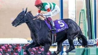 【皐月賞想定】ホープフルS覇者キラーアビリティ、2歳王者ドウデュースなど