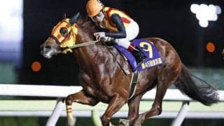 【大井・京浜盃結果】シャルフジンが逃げ切って重賞連勝