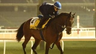 【次走】シュネルマイスターは安田記念を視野に 昨年の3歳マイル王者