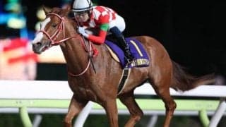 【次走】ジャスティンは東京スプリントに登録 2020年の同レース覇者