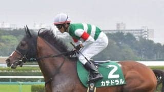 【ダービー卿CT出走馬・騎手確定】カテドラル＆戸崎圭太騎手、ザダル＆田辺裕信騎手など16頭