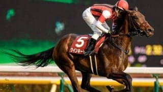 【次走】ウインキートスは連覇がかかる目黒記念へ