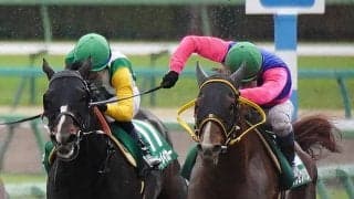 【マーチS】メイショウハリオが豪快な差し切り