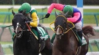 【マーチS】浜中「無理にポジションを取らなかった」メイショウハリオが豪快な差し切り