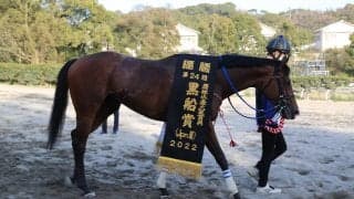 高知けいばが令和3年度売得金額が過去最高を記録