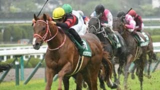 【次走】ホウオウアマゾンはマイラーズカップへ 昨年のアーリントンC覇者