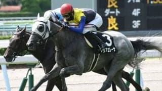 【次走】愛知杯2着馬マリアエレーナは新潟大賞典へ 叔父にダービー馬ワグネリアン