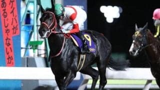 【次走】ダノンファラオは平安Sへ　2020年ジャパンダートダービー覇者