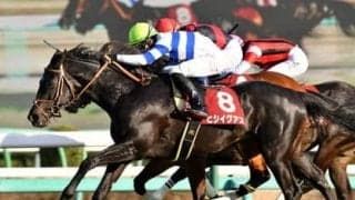 波乱続出の大阪杯は、馬券圏内に入る「３つの条件」をクリアした穴馬２頭で勝負