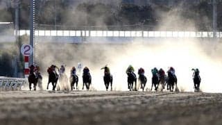 【地方競馬】4月1日の大井競馬は開催中止、走路コンディション不良で
