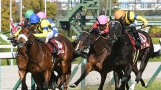 【阪神牝馬S想定】秋華賞覇者アカイトリノムスメ、ローズS覇者アンドヴァラナウトなど10頭