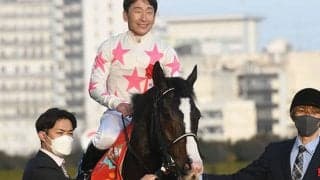 【NZT想定】シンザン記念覇者マテンロウオリオン、藤田晋氏所有馬ジャングロなど13頭