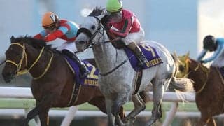 【地方競馬】令和3年度の総売上は9930億円超　前年比108.9%、電話投票が9割占める