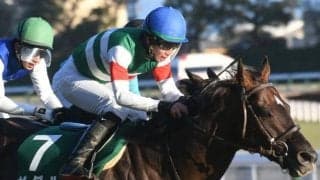 【今日の注目ポイント】中山でGIII・ダービー卿CT、阪神ではリステッド・コーラルS