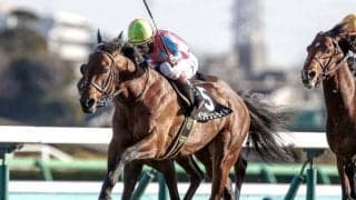 【ダービー卿CT予想】過去10年で4・5番人気馬が6勝、中波乱傾向の一戦