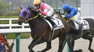 【次走】ケイアイオメガはアーリントンCか橘Sへ　現在無傷2連勝中