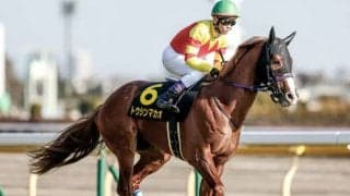 【次走】ファルコンS5着のトウシンマカオはNHKマイルカップへ 父は短距離王ビッグアーサー