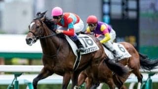 【次走】ガンランナー産駒グランアプロウソは雪うさぎ賞で復帰予定 祖母は短距離女王ビリーヴ