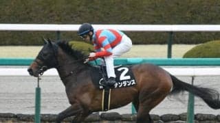 【次走】テンダンスは京都新聞杯かプリンシパルSへ 昨年の東スポ杯2歳Sで3着