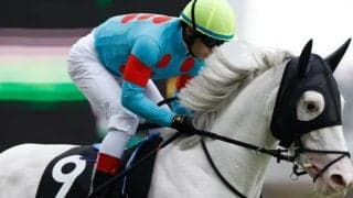 【次走】白毛馬ハイアムズビーチは4月16日の自己条件へ 母は2010年NAR賞最優秀牝馬ユキチャン