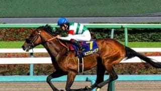 【大阪杯前日オッズ】エフフォーリアが1.6倍で断然の人気