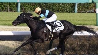 【中山12R】ルーキー西塚がJRA初勝利！フレーズメーカーで逃げ切る