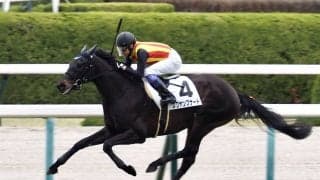 【阪神4R】武豊スワヤンブナートが初勝利