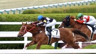 【阪神8R】古川奈 ステイブルアスクの直線一気が炸裂