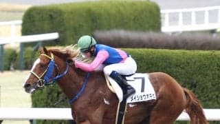 【阪神6R】ルーキー角田大河が5勝目！メイショウオキビで抜け出す