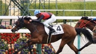 【阪神5R】オルフェーヴル産駒 メモリーレゾンが2勝目