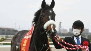 クラシック第一弾・桜花賞、GI前哨戦の阪神牝馬S＆ニュージーランドT/今週の競馬界の見どころ