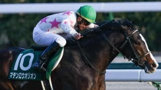 【ニュージーランドT登録馬】マテンロウオリオンなど12頭