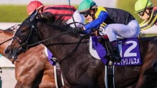 【阪神牝馬S登録馬】アカイトリノムスメなど13頭