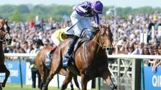 【海外競馬】日本産馬サクソンウォリアーの産駒がフランスで初出走初勝利 