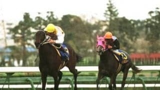 ウマ娘で小柄な「天才少女」として描かれるニシノフラワーの、クラシックを巡るアドラーブルとのライバル物語