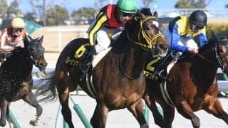 【AI予想・桜花賞】重賞初挑戦に「◎」!? 妙味たっぷりの「本命候補」は…