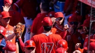【MLB】エンゼルスは「昨年から劇的に改善」　8年ぶりPO進出へ、GMが自信を示す根拠とは？