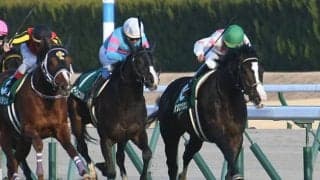 【ニュージーランドT想定騎手】マテンロウオリオンは横山典弘騎手、リューベックは吉田隼人騎手