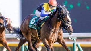 【阪神牝馬S展望】ヴィクトリアマイル前哨戦、あの馬の巻き返しを期待