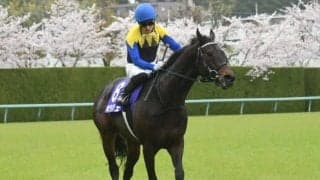 【大阪杯】金子馬活躍の裏にデピュティミニスターあり!?  母が米古牝馬チャンピオンの良血が遅咲きの勝利